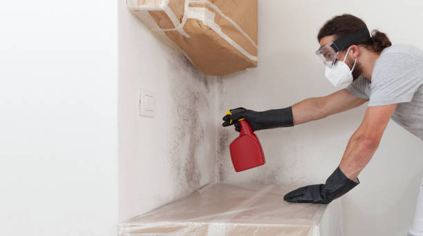 Professional Mold Cleanup technician working in Mount Sinai, NY